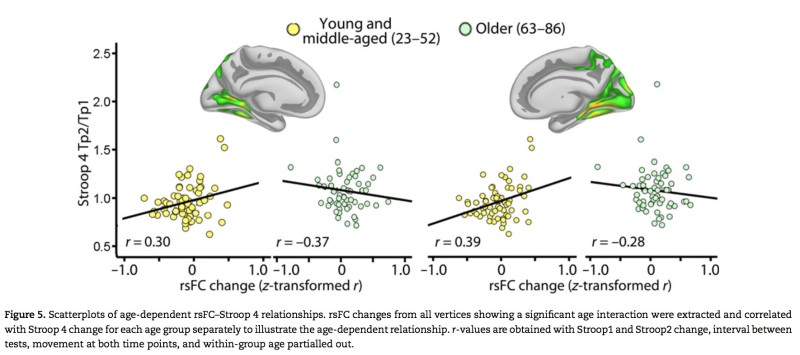 94.The_Disconnected_Brain_and_Executive_Function_Decline_in_Aging